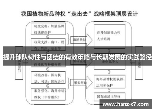 提升球队韧性与团结的有效策略与长期发展的实践路径