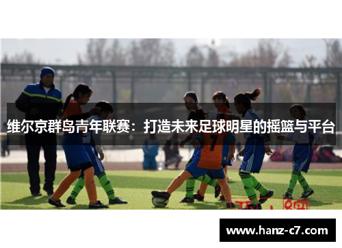 维尔京群岛青年联赛:打造未来足球明星的摇篮与平台 维尔京群岛青年联赛:打造未来足球明星的摇篮与平台