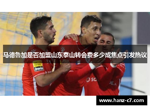 马德鲁加是否加盟山东泰山转会费多少成焦点引发热议