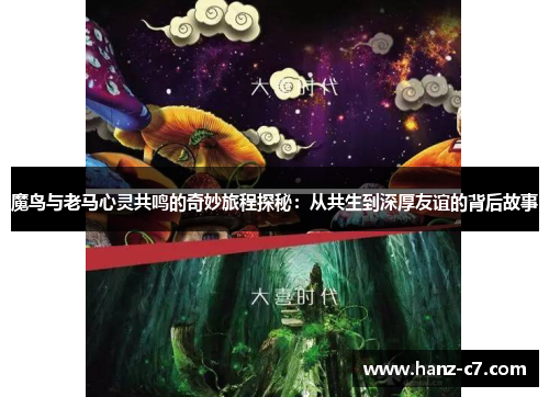 魔鸟与老马心灵共鸣的奇妙旅程探秘：从共生到深厚友谊的背后故事