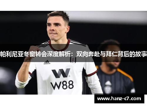 帕利尼亚冬窗转会深度解析：双向奔赴与拜仁背后的故事