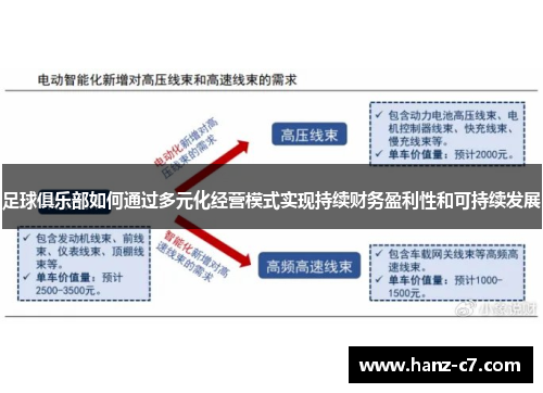 足球俱乐部如何通过多元化经营模式实现持续财务盈利性和可持续发展 足球俱乐部如何通过多元化经营模式实现持续财务盈利性和可持续发展