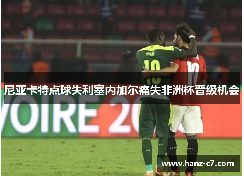 尼亚卡特点球失利塞内加尔痛失非洲杯晋级机会