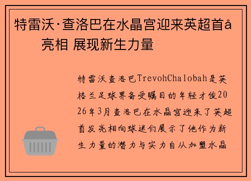 特雷沃·查洛巴在水晶宫迎来英超首发亮相 展现新生力量