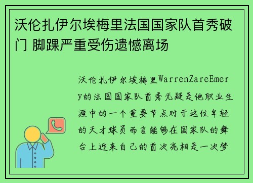 沃伦扎伊尔埃梅里法国国家队首秀破门 脚踝严重受伤遗憾离场