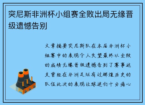 突尼斯非洲杯小组赛全败出局无缘晋级遗憾告别